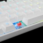 WHITE SHARK MECHANICAL KEYBOARD RED SWITCH SHINOBI WHITE_5