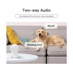 2-Way Audio